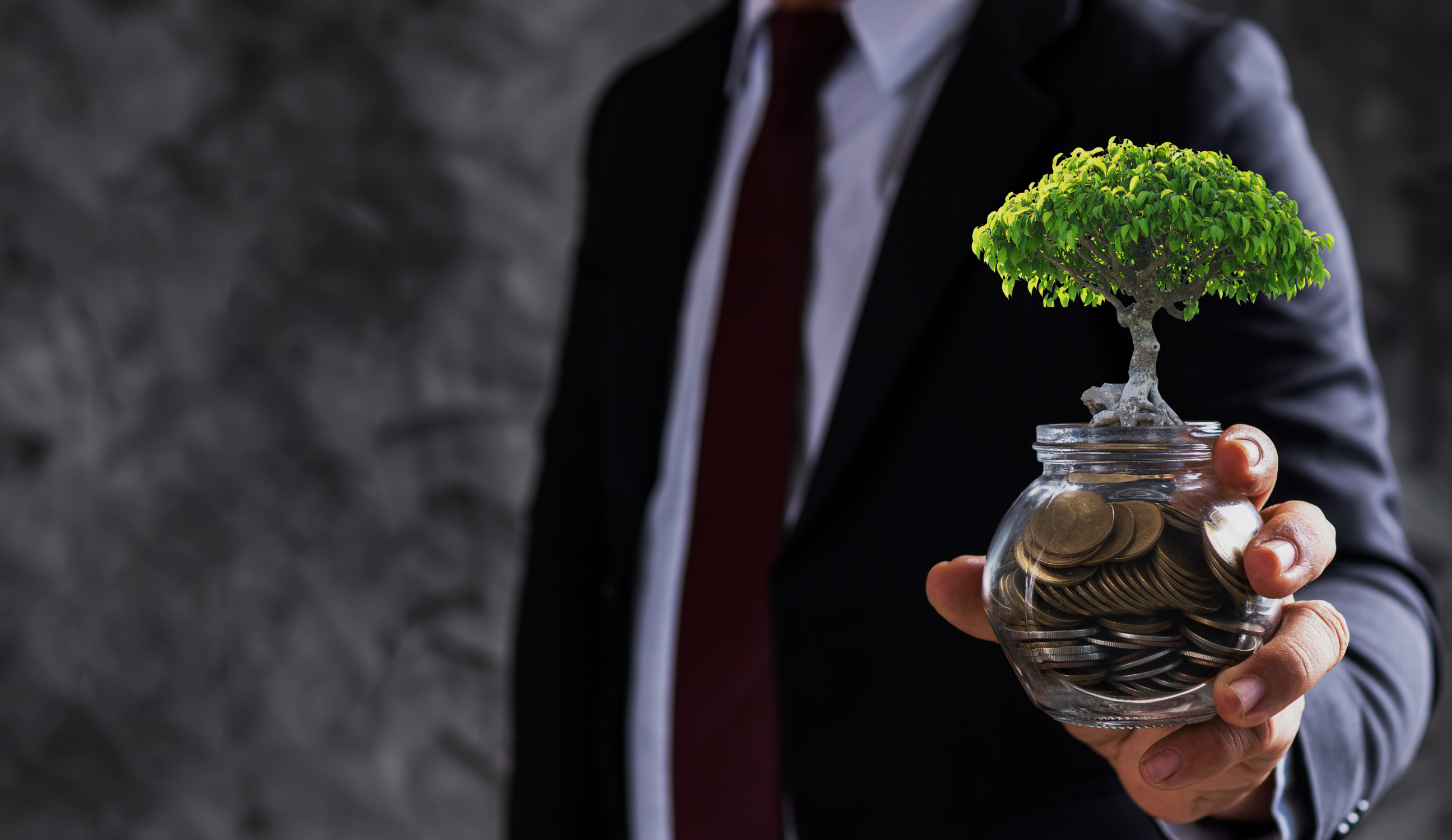 Irlandinsolvenz Irland Insolvenz Privatinsolvenz Preis Kachel